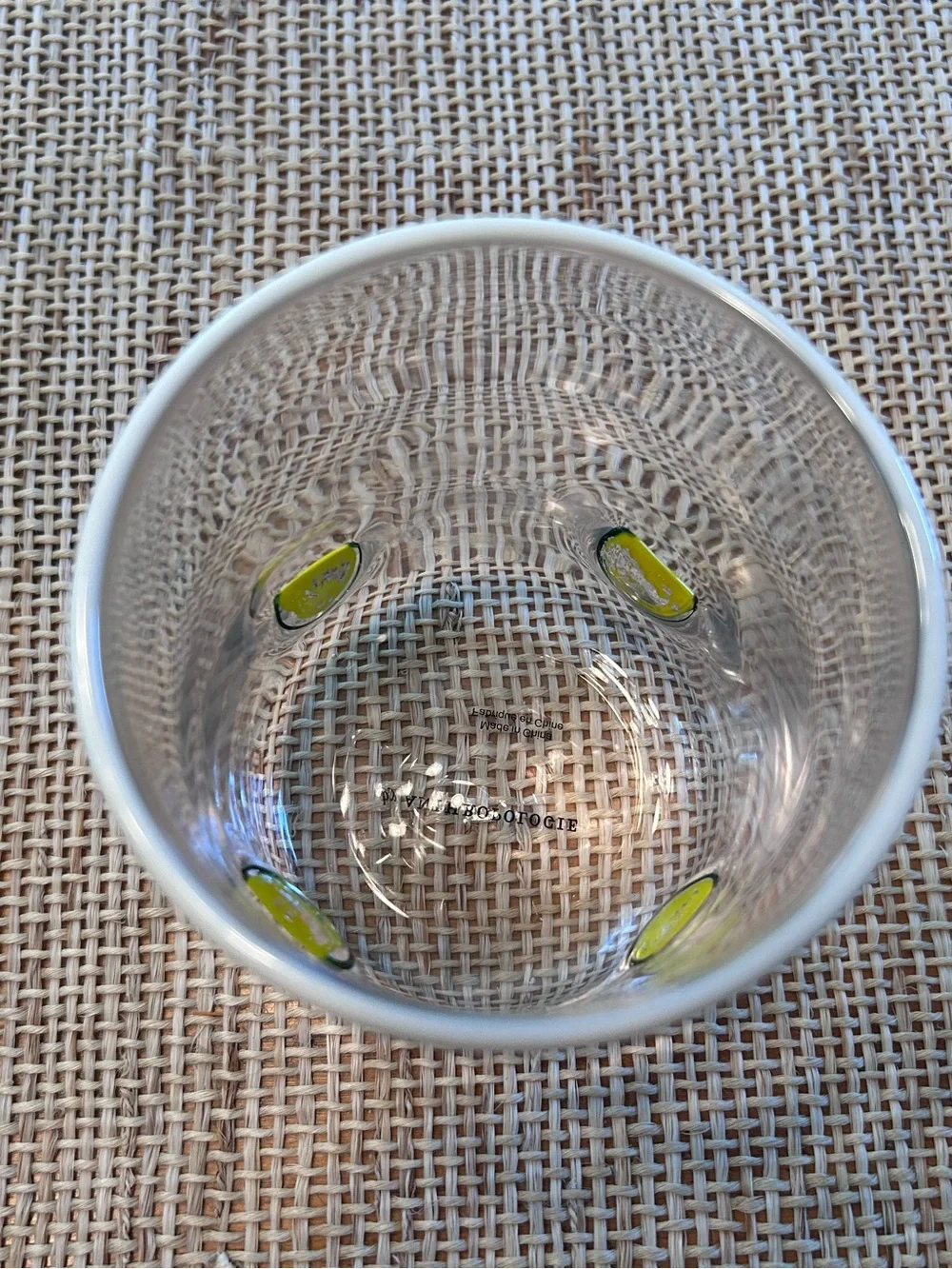 Anthropologie Icon Juice Hand-Blown Glass with Lemon/Lime Slices. 17.25 oz